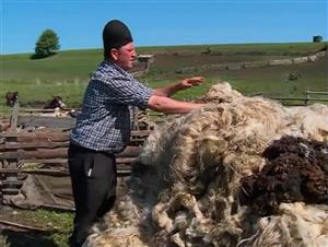 Fonduri europene pentru promovarea cărnii de oaie și de capră