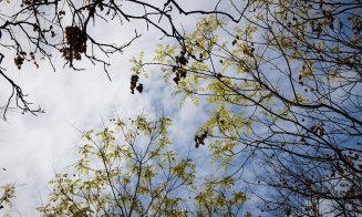 Vremea în următoarele două săptămâni. Când temperaturi cu plus, când ger