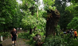 Furtuna de duminică a rupt mai mulţi copaci de mari dimensiuni din Parcul Central