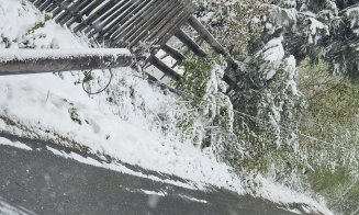 Zăpada care a căzut în judeţul Cluj a rupt copaci şi stâlpi de curent