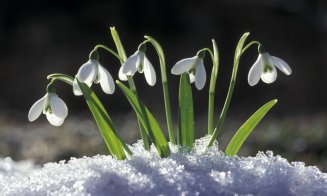 Prognoza meteo până la mijloc de martie. Urmează un nou val de frig/ Când se instalează primăvara?