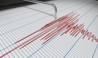 Cutremur cu magnitudinea de aproape 4 în România. INCDFP: „L-ai simțit? Lasă-ne un feedback!"