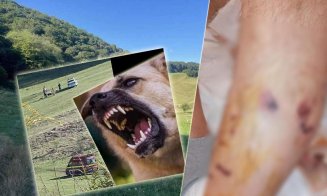 Anchetă după ce un bărbat și fiica lui au fost atacați de câini. Ce spune Poliția Cluj